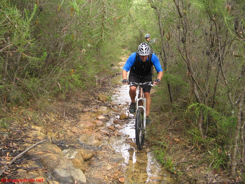 20090405-Mooney 188.jpg